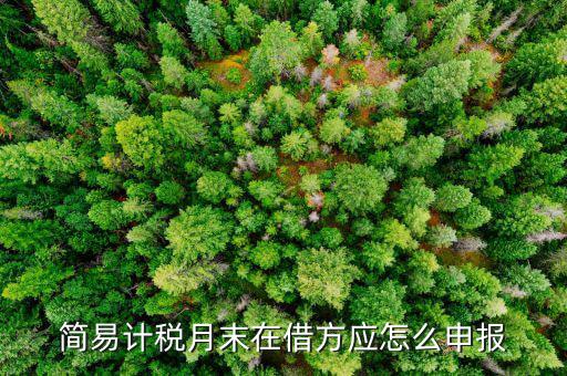 環(huán)保稅如何按簡(jiǎn)易申報(bào)，環(huán)保稅怎么申報(bào)