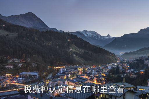 電子稅務(wù)局如何查地稅，天津電子稅務(wù)局怎么查所屬于哪個(gè)稅所