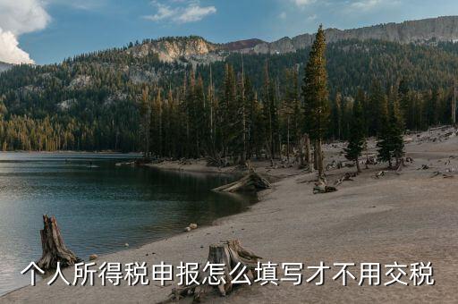 福建自然人個稅如何申報才不用繳稅，個稅專項附加扣除怎樣填寫才不繳稅