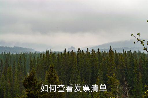 如何查詢發(fā)票明細表，如何查看發(fā)票清單