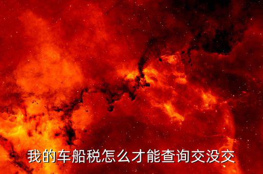 我的車(chē)船稅怎么才能查詢交沒(méi)交