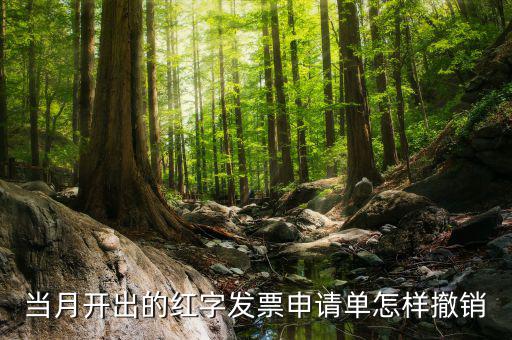 如何撤銷紅字發(fā)票申請書，紅字申請單如何作廢