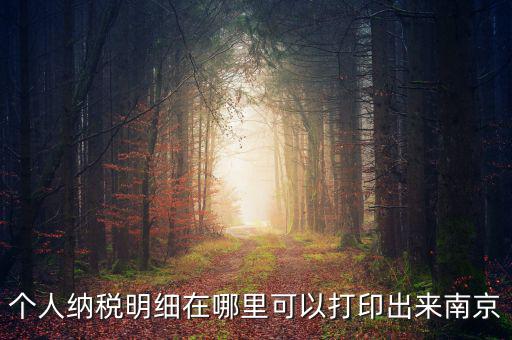 如何打印個(gè)稅明細(xì)，個(gè)人納稅明細(xì)在哪里可以打印出來南京