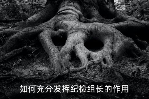 稅務(wù)局如何貫徹落實(shí)紀(jì)檢組長(zhǎng)的講話，如何充分發(fā)揮紀(jì)檢組長(zhǎng)的作用