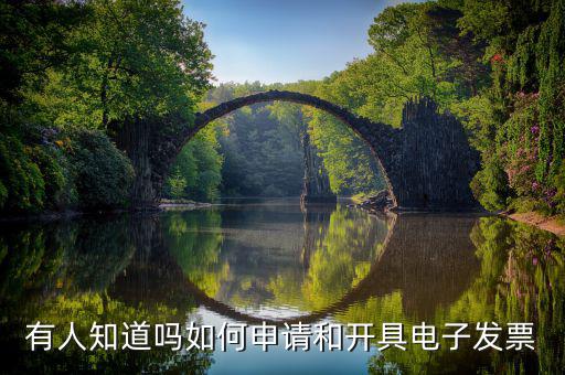 如何網(wǎng)上申領(lǐng)電子發(fā)票嗎，網(wǎng)上怎么領(lǐng)購發(fā)票