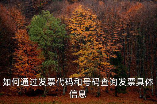 如何查詢發(fā)票詳細(xì)信息查詢，如何通過發(fā)票代碼和號碼查詢發(fā)票具體信息