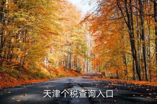 天津個(gè)稅如何查詢密碼，天津個(gè)稅查詢?nèi)肟?/></a></span><span id=