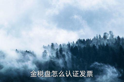 如何用金稅盤認(rèn)證發(fā)票，金稅盤怎么認(rèn)證發(fā)票