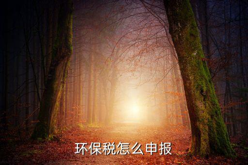 環(huán)境保護稅b類如何申報表，環(huán)保稅申報步驟是什么