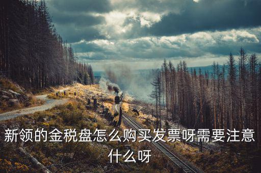 新公司如何購買金稅盤，新領(lǐng)的金稅盤怎么購買發(fā)票呀需要注意什么呀