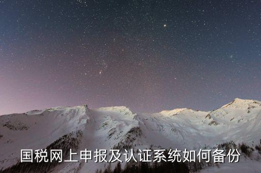 稅友申報(bào)軟件如何備份，國稅網(wǎng)上申報(bào)及認(rèn)證系統(tǒng)如何備份