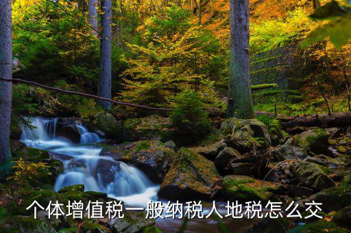 地稅票如何繳納增值稅，請問土地轉讓土地增值稅怎么交