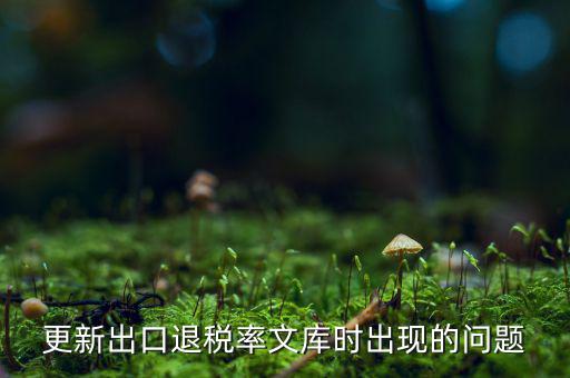 出口退稅文庫(kù)如何更新，請(qǐng)問(wèn)各位出口退稅系統(tǒng)里的代碼庫(kù)怎么更新啊怎么老沒(méi)反應(yīng)的呢