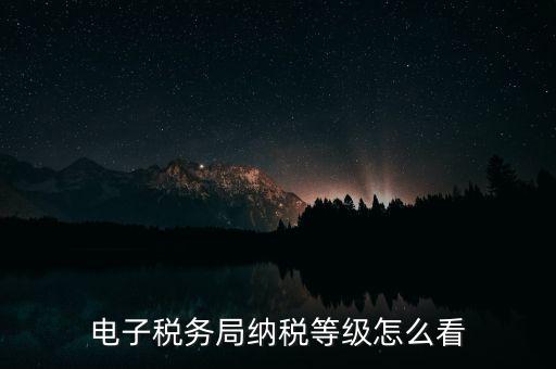 a級納稅人如何查詢，電子稅務(wù)局納稅等級怎么看