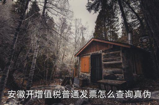 安徽省如何查稅票真假，安徽開增值稅普通發(fā)票怎么查詢真?zhèn)?/></a></span><span id=