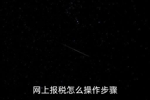 網上報稅怎么操作步驟