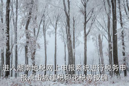 湖南省地稅局個(gè)人如何注冊(cè)，湖南地稅網(wǎng)上申報(bào)系統(tǒng)