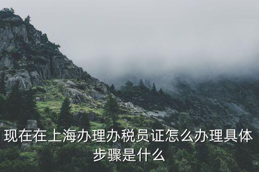 如何成為辦稅員，成為稅務(wù)人員的基本要求是什么