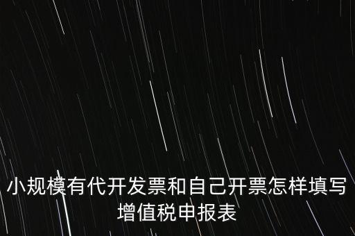 代開專票申報(bào)時(shí)如何填寫，自助開具增值稅專用發(fā)票申報(bào)單怎么填