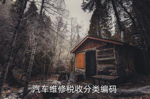 稅收分類編碼如何查詢，汽車維修稅收分類編碼