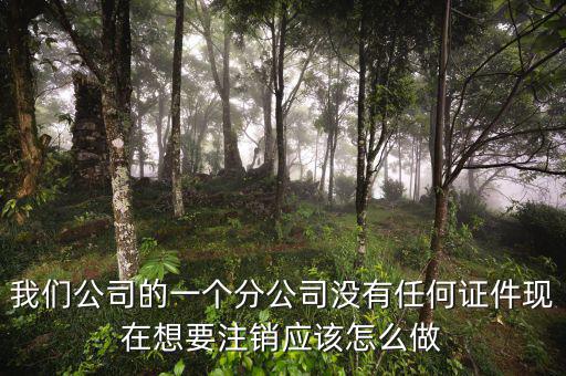 外管證不見了如何注銷，注銷外管證沒帶公司章可以嗎