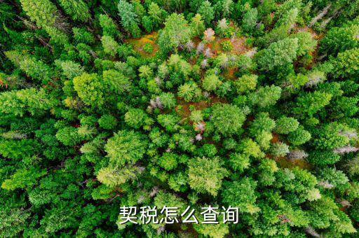 如何查詢契稅繳稅時間，契稅怎么查詢