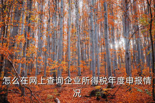 企業(yè)稅務(wù)信息如何查詢系統(tǒng)，通過企業(yè)注冊號和地稅登記證號如何查詢企業(yè)信息