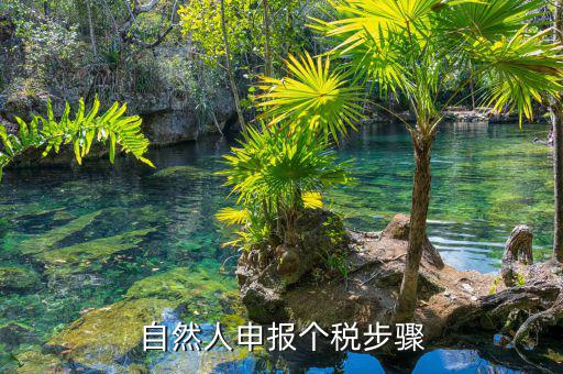 如何使用自然人納稅系統(tǒng)，新辦企業(yè)怎樣登錄自然人電子稅務(wù)局扣繳端