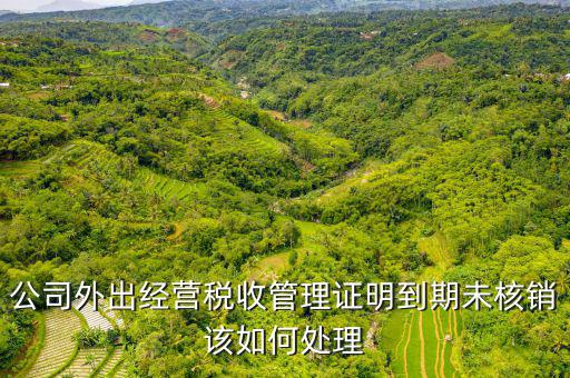未核銷外經(jīng)證如何查詢，外經(jīng)證有效期在網(wǎng)上怎么查詢