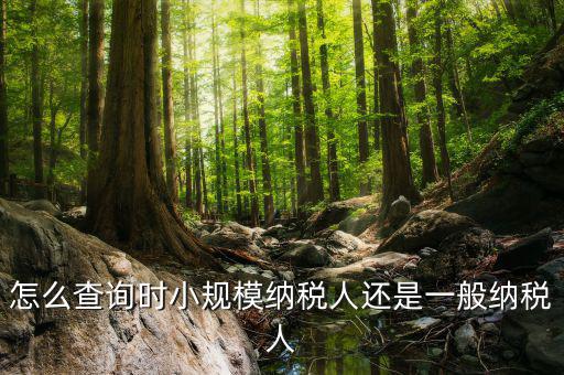 如何查詢成為納稅人時(shí)間，怎么查詢時(shí)小規(guī)模納稅人還是一般納稅人