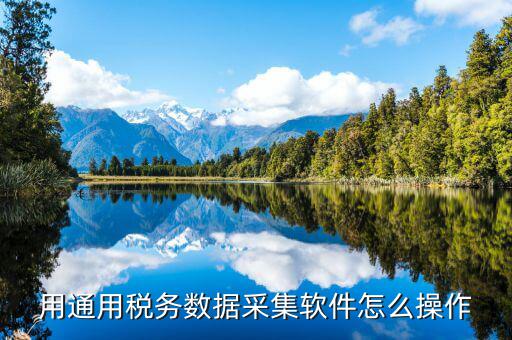 用通用稅務數(shù)據(jù)采集軟件怎么操作