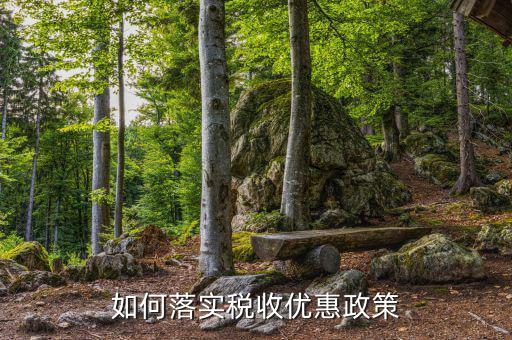 地稅部門如何落實(shí)稅收優(yōu)惠政策，免稅政策如何落實(shí)