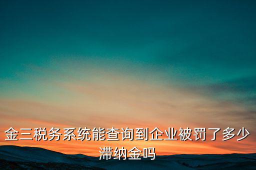 稅務(wù)部門的行政處罰如何查詢，公司的稅務(wù)罰款去哪里查詢急