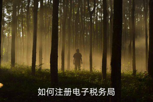 浙江稅務(wù)局個(gè)人賬號(hào)如何注冊(cè)，浙江省電子稅務(wù)局企業(yè)注冊(cè)后會(huì)繳費(fèi)嗎
