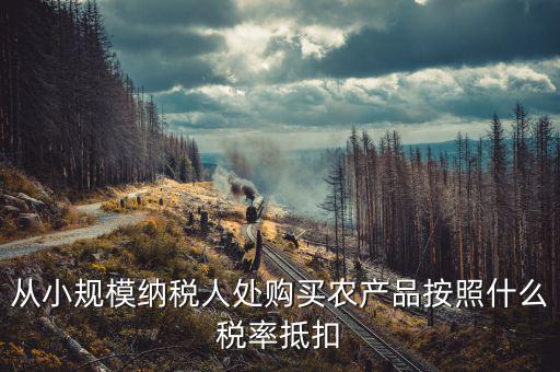 小規(guī)模納稅人 農(nóng)產(chǎn)品如何開票適用稅率，小規(guī)模納稅人銷售農(nóng)產(chǎn)品開什么發(fā)票