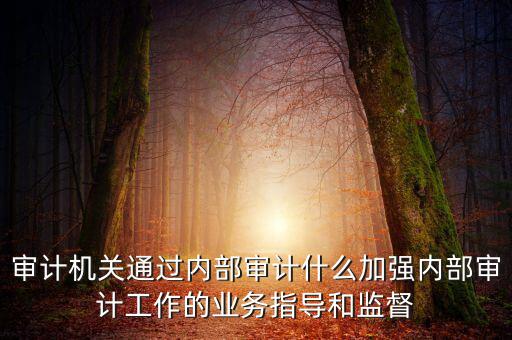 如何進(jìn)一步加強(qiáng)督察內(nèi)審工作，如何加強(qiáng)紀(jì)檢監(jiān)察系統(tǒng)內(nèi)部監(jiān)督管理