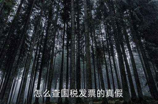 國稅如何驗(yàn)證發(fā)票，增值稅發(fā)票網(wǎng)上怎么認(rèn)證