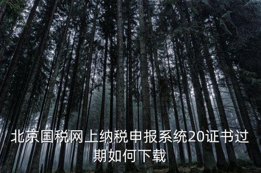 北京國稅網站如何更新，如何在國稅網上更新公司的信息