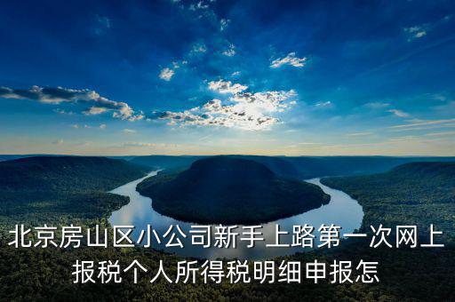 北京市網(wǎng)上稅務(wù)局如何報稅，北京稅務(wù)局網(wǎng)上報到怎么操作