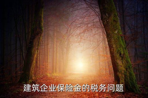 保險公司稅務管理如何處理，建筑企業(yè)保險金的稅務問題