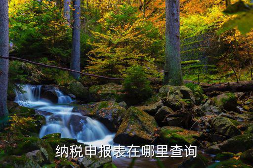 網(wǎng)上稅務(wù)局如何查詢申報(bào)表，如何查看增值稅申報(bào)表