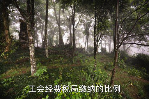 稅局代收的工會經(jīng)費應(yīng)如何交納，稅務(wù)局代收的工會經(jīng)費怎么交