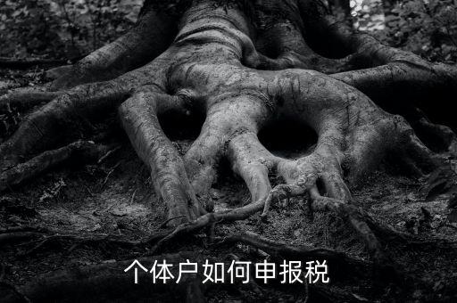 個體工商戶稅如何申報，個體工商戶個稅怎么報