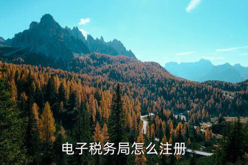 如何注冊福建電子稅務局賬號，電子稅務局怎么注冊 電子稅務局注冊流程
