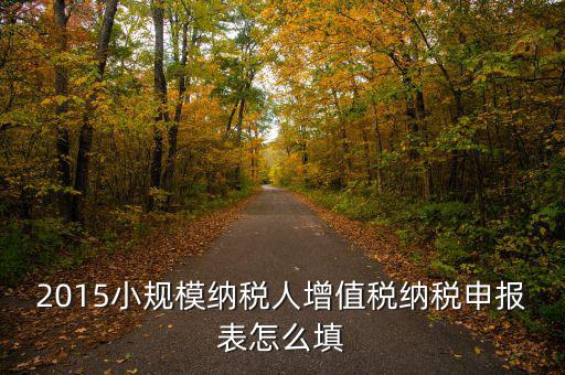 小規(guī)模納稅人國稅申報(bào)表如何填，小規(guī)模納稅人的報(bào)表怎么填