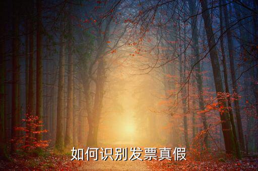 深圳國稅局發(fā)票如何查詢真?zhèn)尾樵?，如何在認證前查驗發(fā)票真?zhèn)?/></a></span><span id=