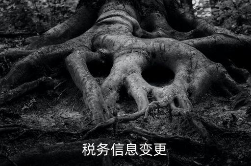 地稅如何變更人員信息查詢，浙江地稅開票軟件開票人怎么更改