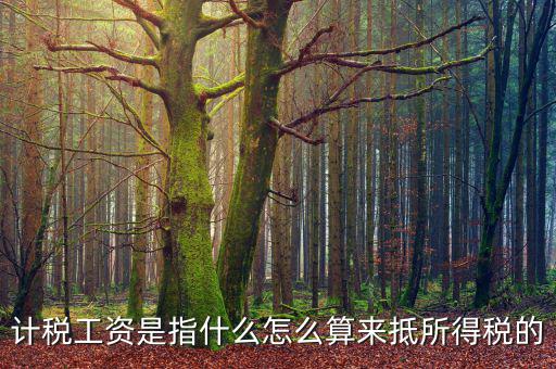 工資如何抵扣所得稅，企業(yè)所得稅工資抵扣的一些訣竅