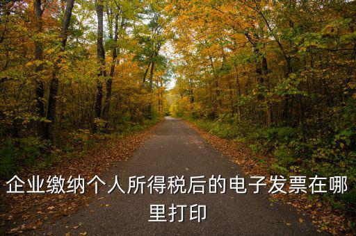 國稅網(wǎng)如何打印電子發(fā)票，增值稅電子普通發(fā)票怎么打印