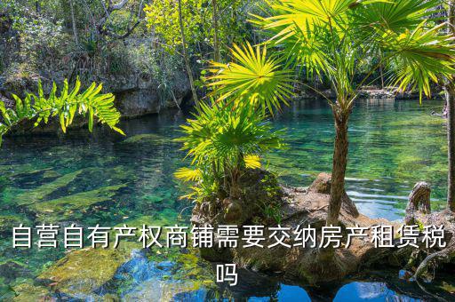 自有商鋪如何繳租賃稅，自有商鋪 是否交出租稅